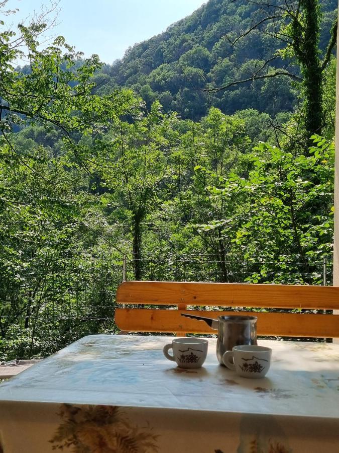 Glamping House ˇvitaˇ Hotel Tolmin Exterior photo